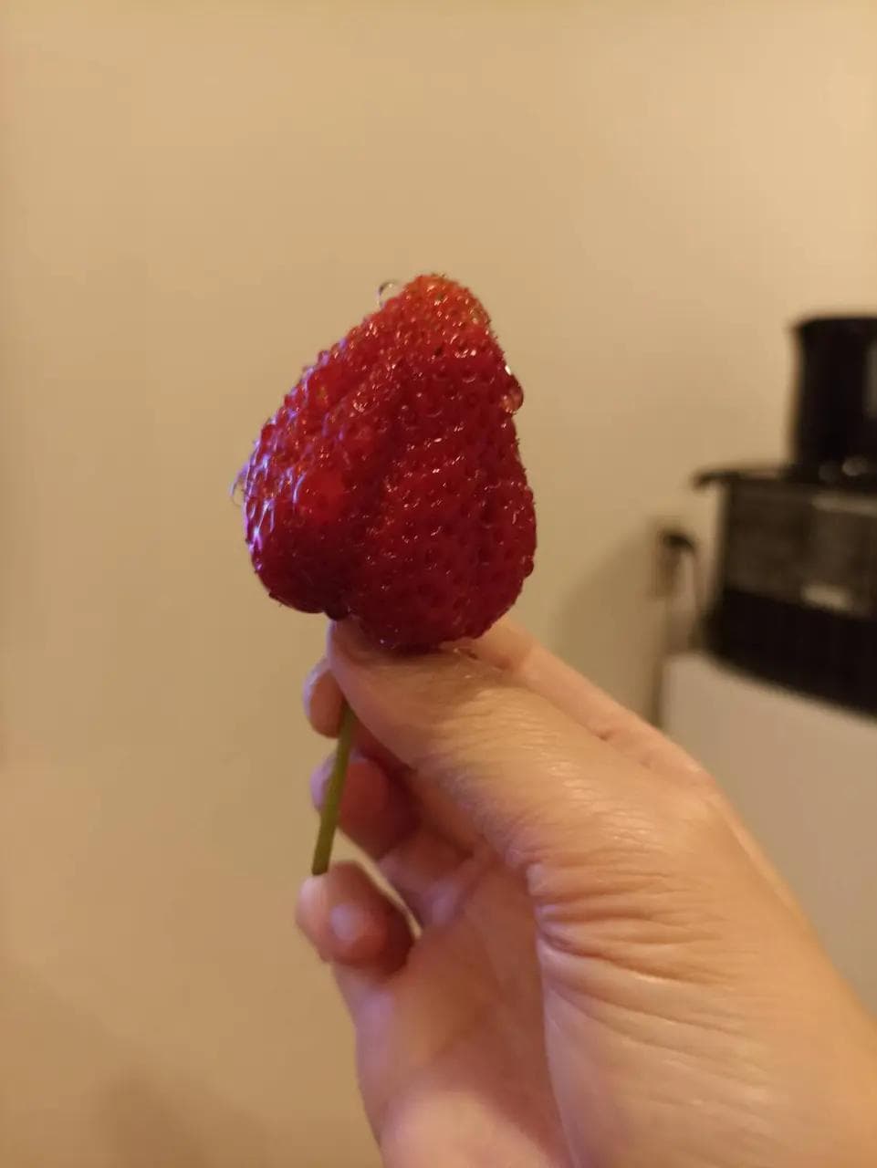 琉貿百貨的超市草莓